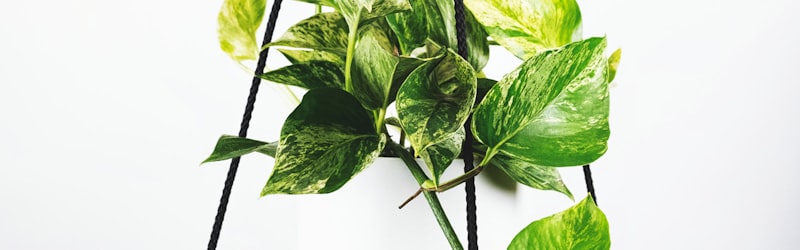 足球数据分析图表，展示球队控球率、射门次数等统计信息